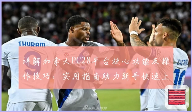 详解加拿大PC28平台核心功能及操作技巧，实用指南助力新手快速上手