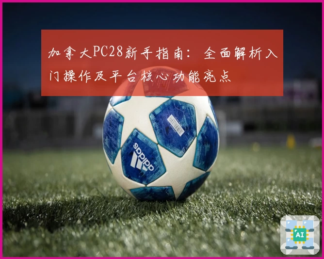 加拿大PC28新手指南：全面解析入门操作及平台核心功能亮点