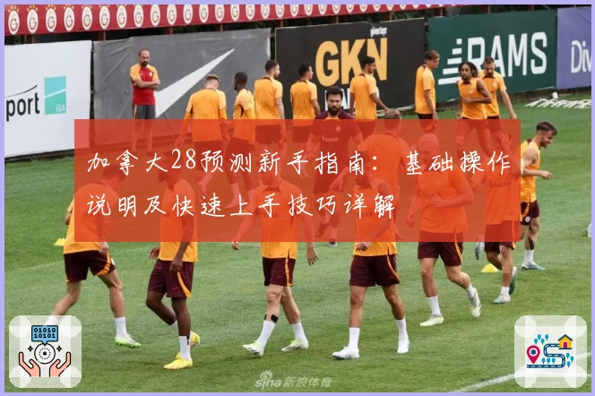 加拿大28预测新手指南：基础操作说明及快速上手技巧详解