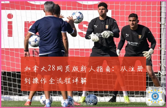 加拿大28网页版新人指南：从注册到操作全流程详解