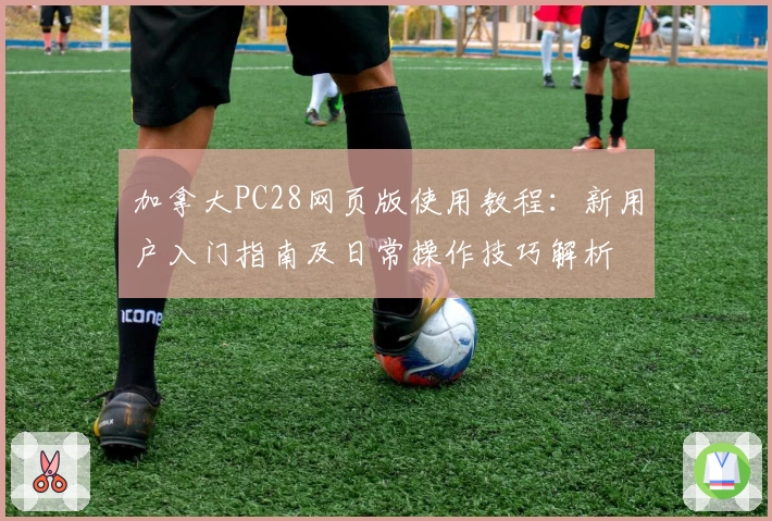 加拿大PC28网页版使用教程：新用户入门指南及日常操作技巧解析