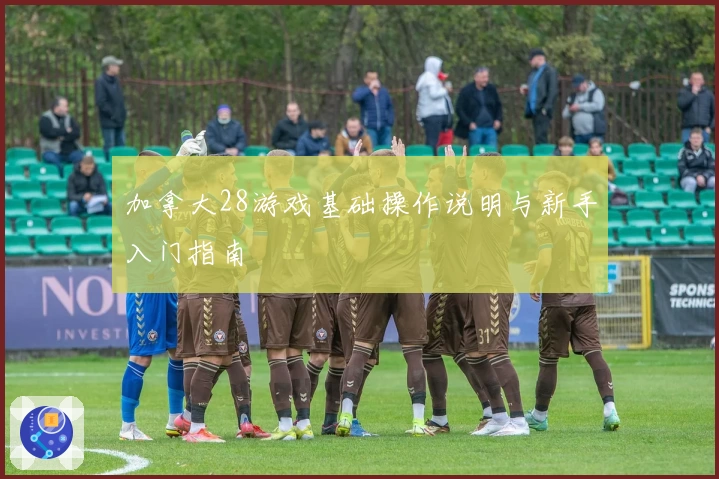 加拿大28游戏基础操作说明与新手入门指南