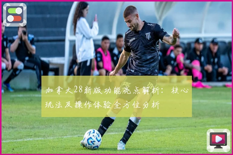 加拿大28新版功能亮点解析：核心玩法及操作体验全方位分析