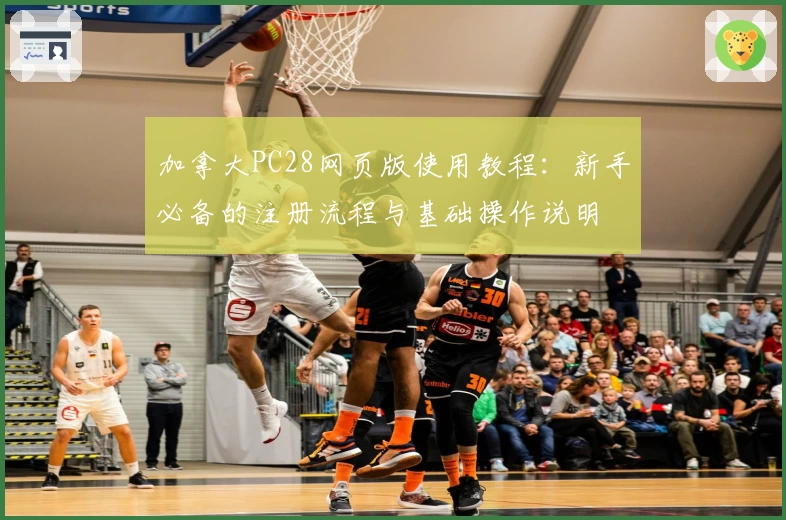 加拿大PC28网页版使用教程：新手必备的注册流程与基础操作说明