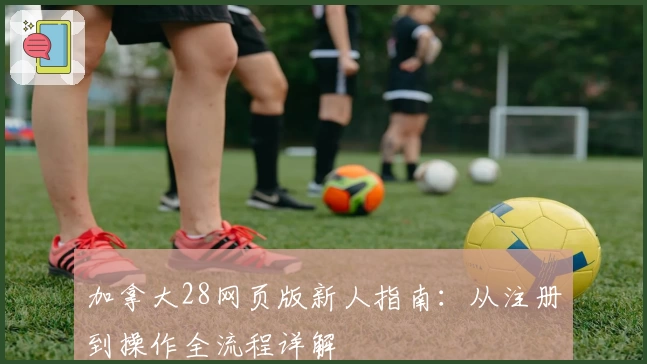 加拿大28网页版新人指南：从注册到操作全流程详解