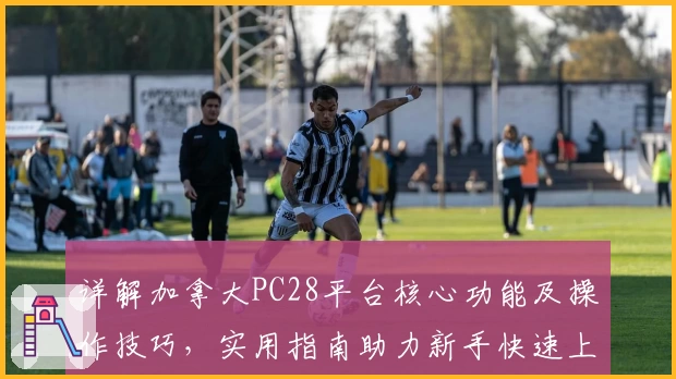 详解加拿大PC28平台核心功能及操作技巧，实用指南助力新手快速上手